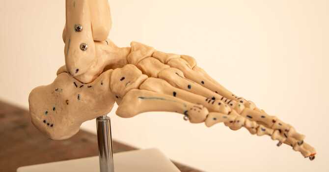 Capacity Development